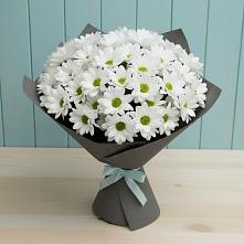 Букет цветов из:  Хризантемы #REPLACE_PRED# Горном Ставропольского края